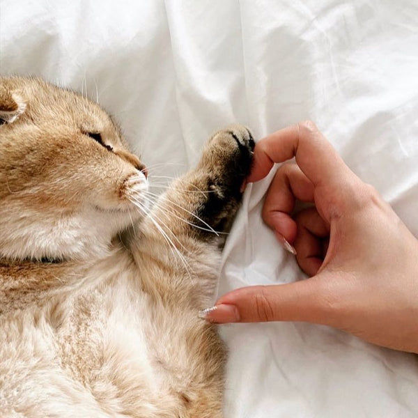 Teď už navždy spolu