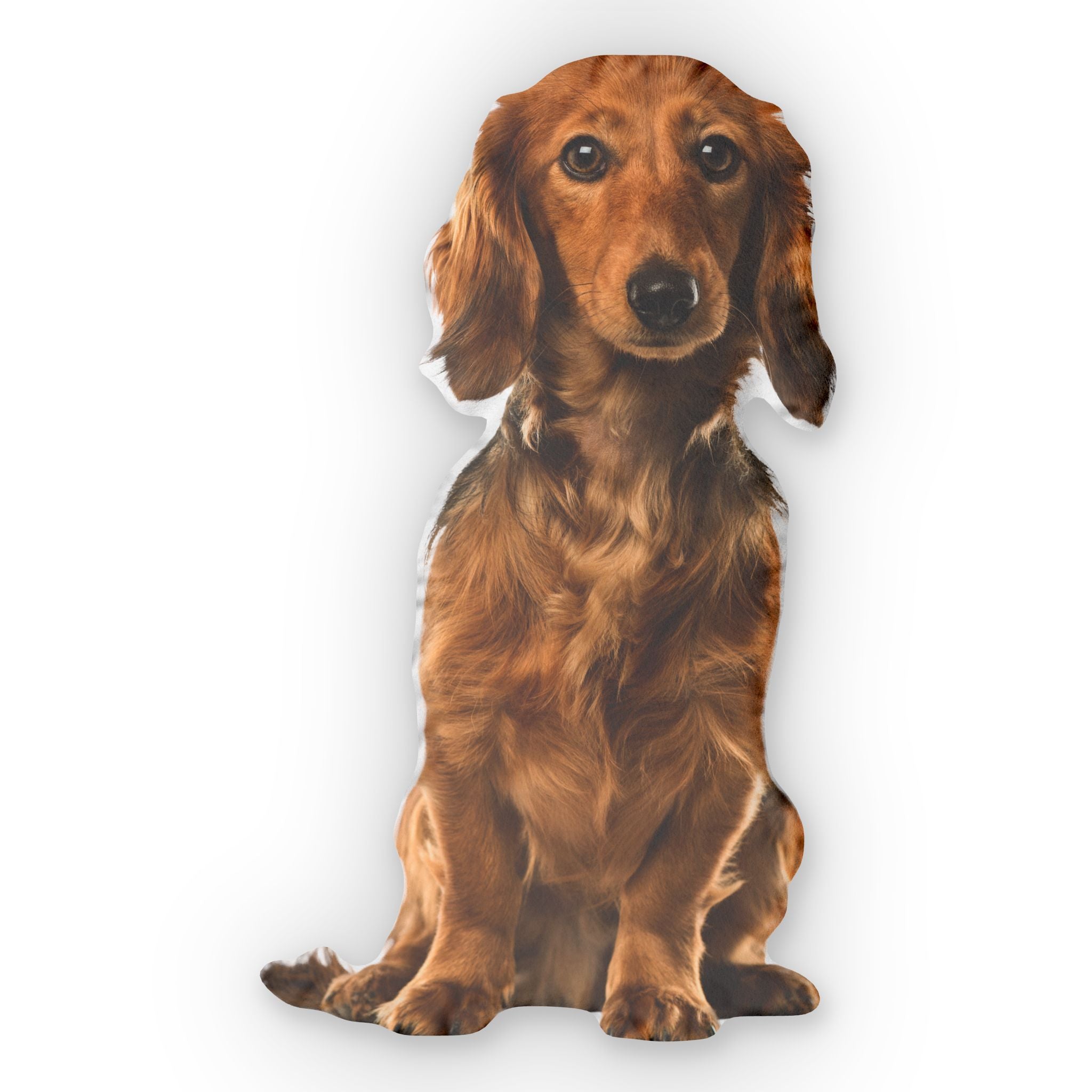 Polštář z fotky mazlíčka