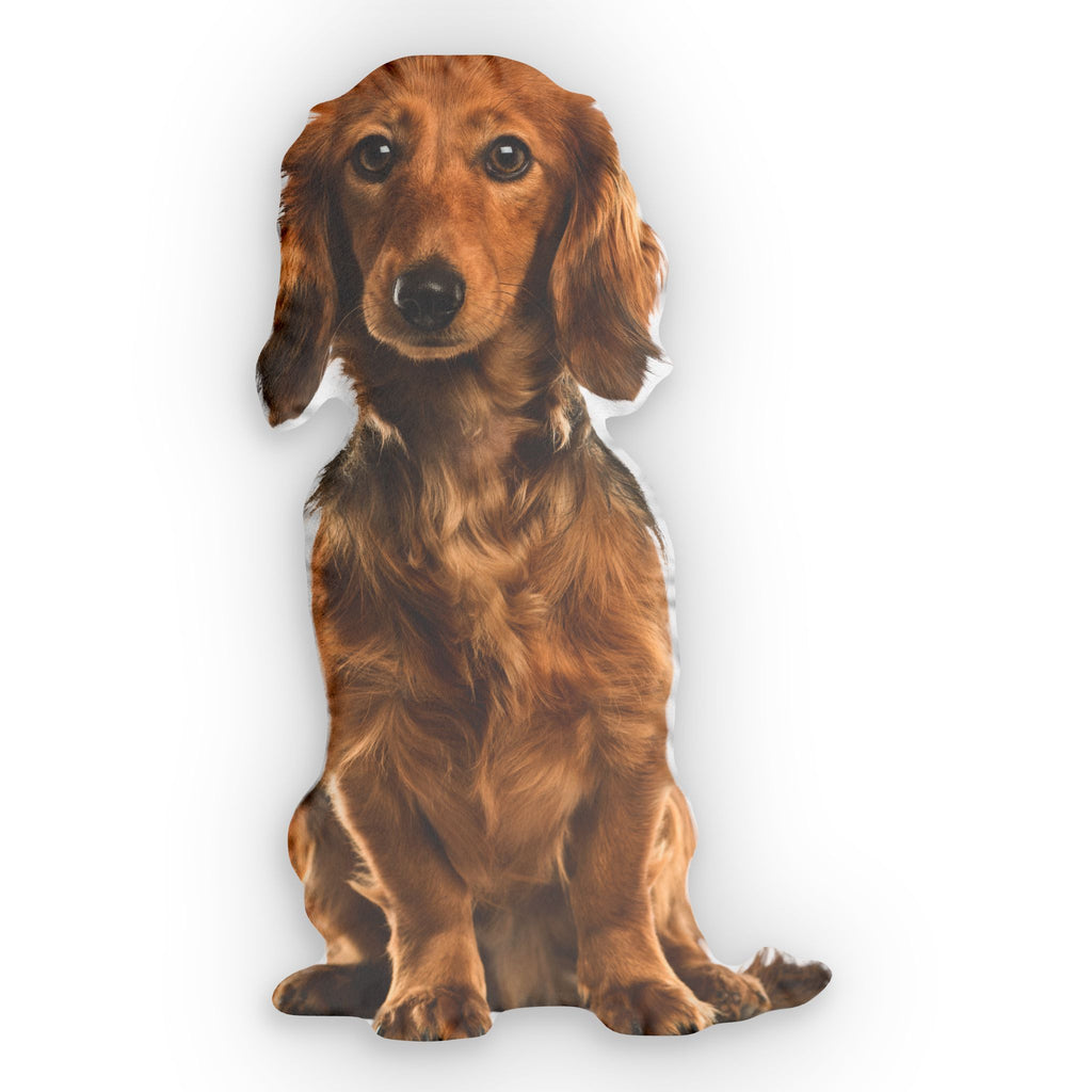 Polštář z fotky mazlíčka