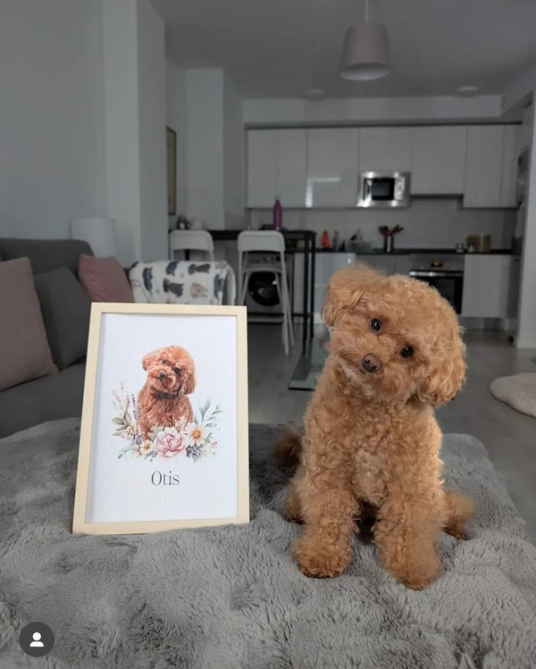 Mistrovské dílo pro váš domov